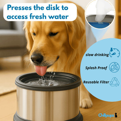 Splash-Free Doggy Bowl - ChillPupz