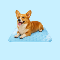 Tapis rafraîchissant pour chien ChillPupz™